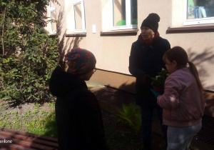 Nauczycielka podaje sadzonki dzieciom