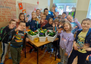 Zdjęcie grupowe z posadzonymi prymulkami