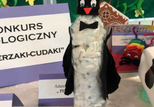 pingwin - cudaczek z nieużytków