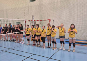 Siatkarki - drużyny