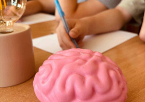 Żarówka i zabawkowy model mózgu jako atrybuty lekcji